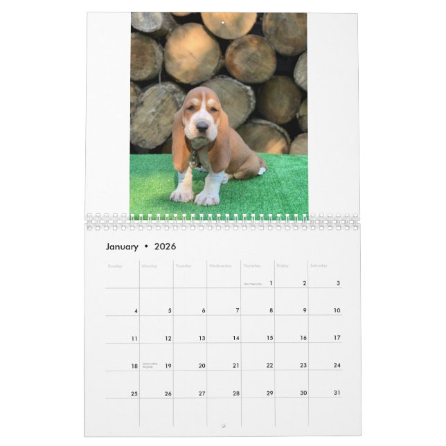 Calendario del perrito del perro de afloramiento (Jan 2026)