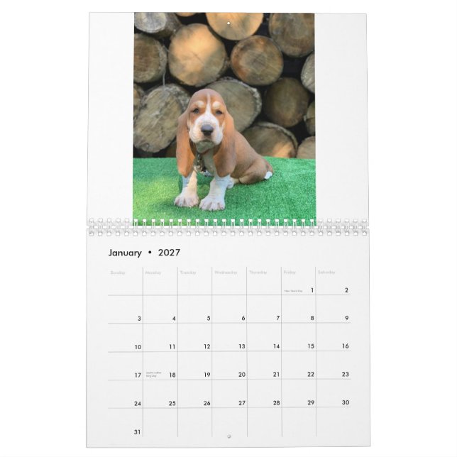 Calendario del perrito del perro de afloramiento (Jan 2027)