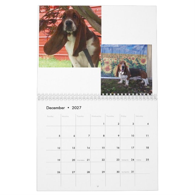 Calendario del perrito del perro de afloramiento (Dec 2027)