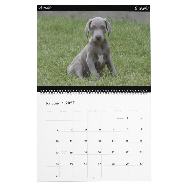 Calendario del perro (Jan 2027)