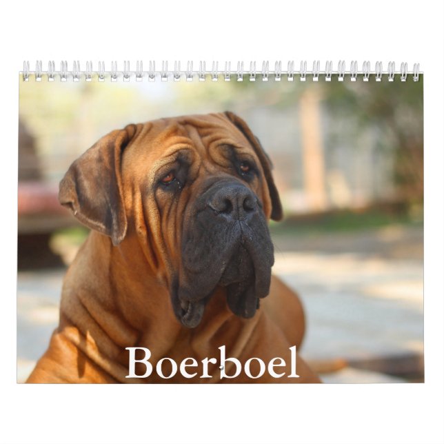 Calendario del perro Boerboel (Tapa)