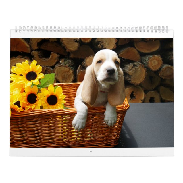 Calendario del perro de afloramiento (Tapa)