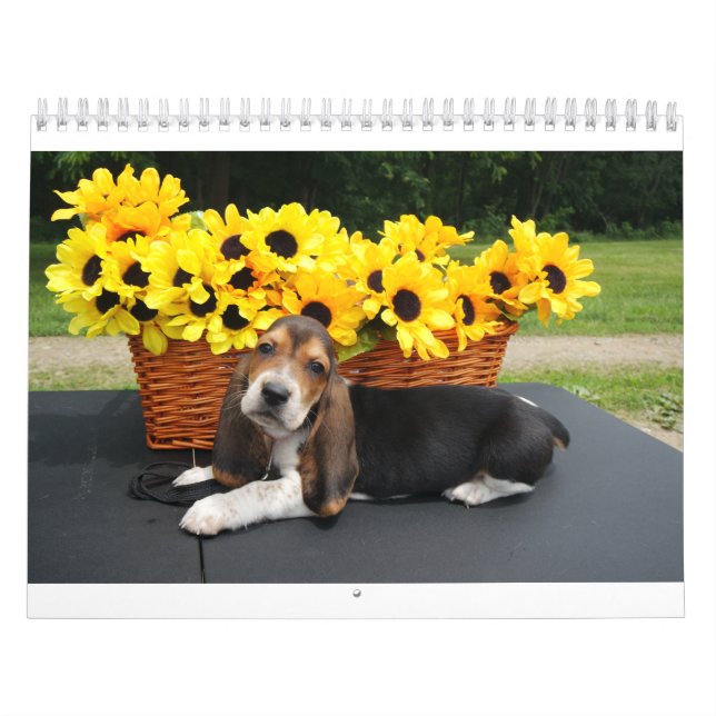 Calendario del perro de afloramiento (Tapa)