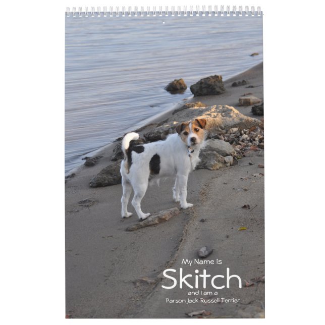 Calendario del perro de Jack Russell Terrier del (Tapa)