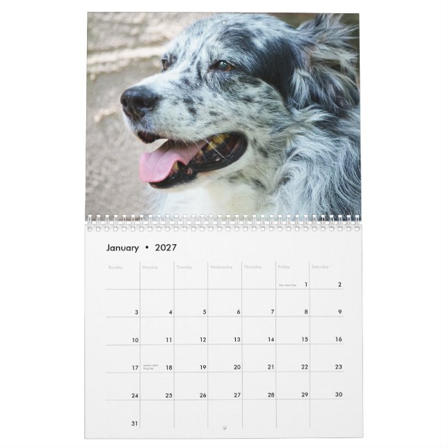 Calendario del perro de pastor de 2013 (Jan 2027)