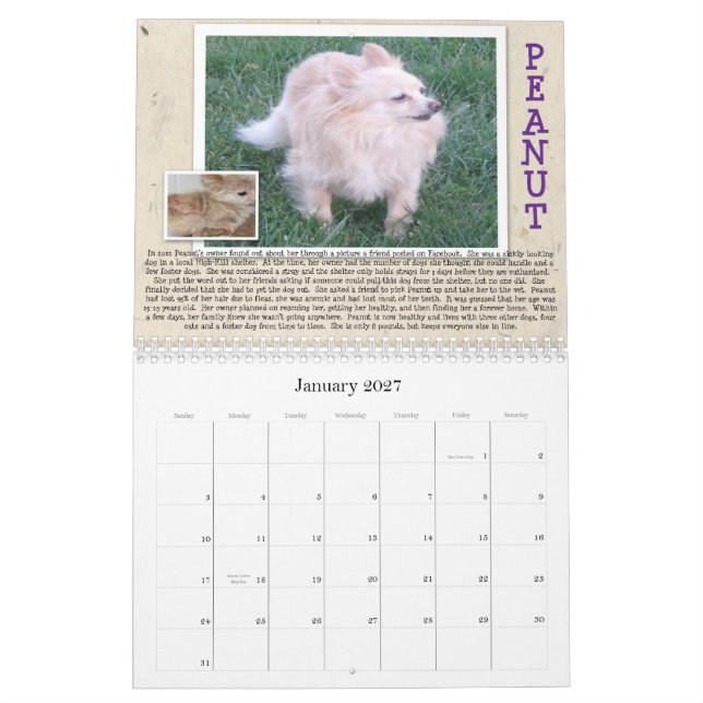 Calendario del perro del rescate de Óscar (Jan 2027)