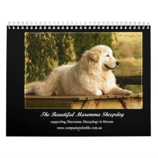 Calendario del perro pastor de Maremma