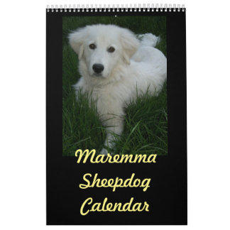 Calendario del perro pastor de Maremma