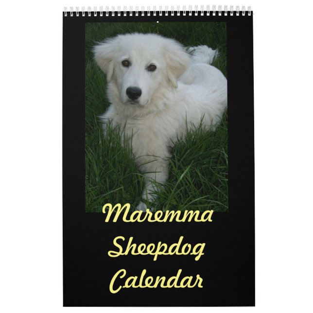 Calendario del perro pastor de Maremma (Tapa)