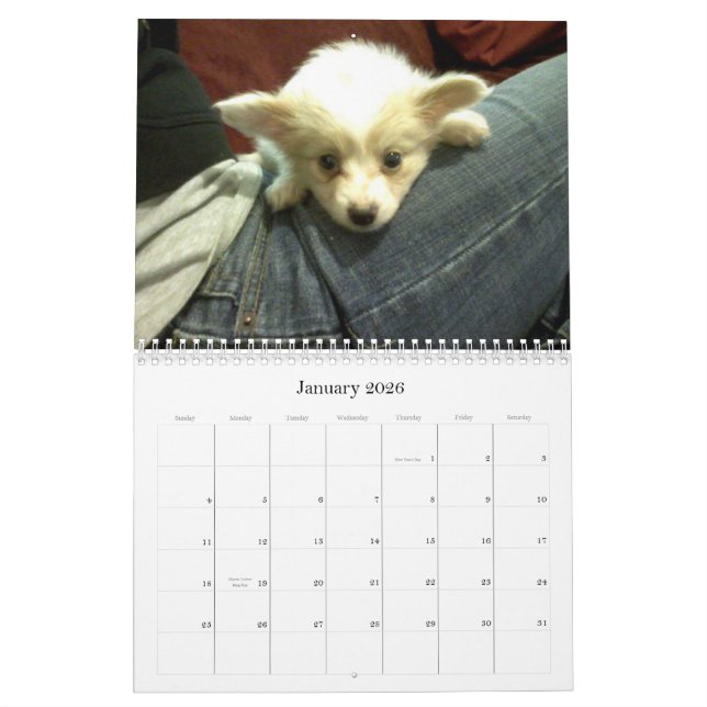 Calendario del personalizado de Abby (Jan 2026)