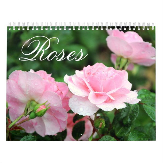 Calendario del personalizado de los rosas (Tapa)