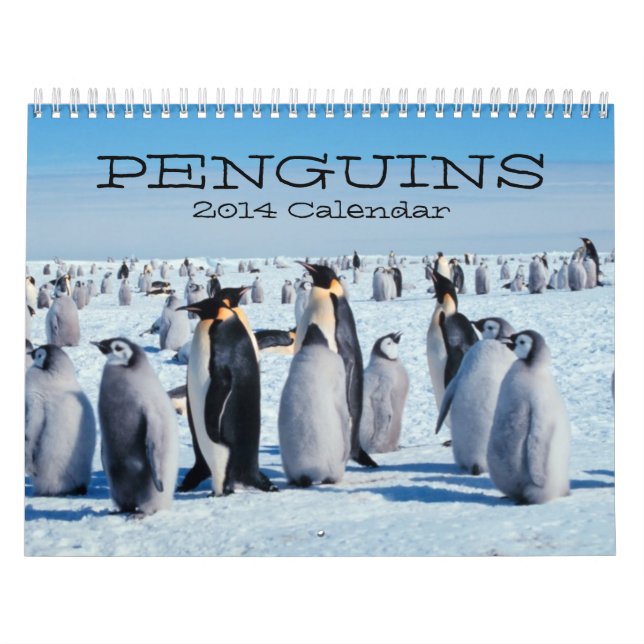 Calendario del pingüino (Tapa)