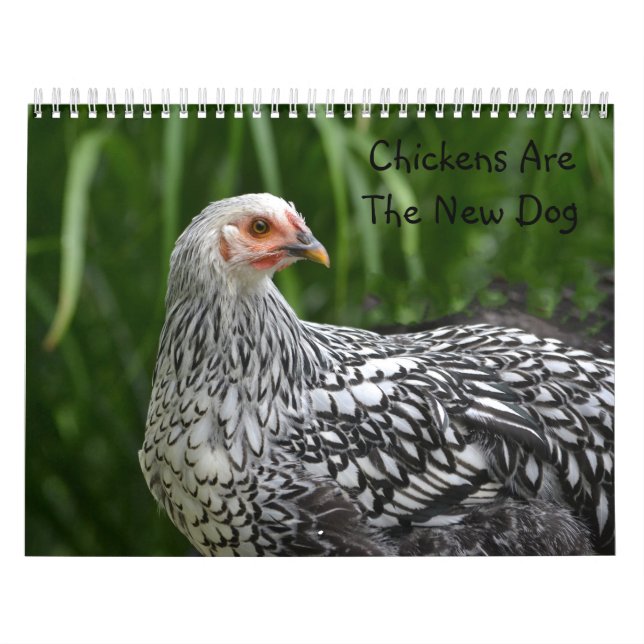 Calendario del pollo (Tapa)