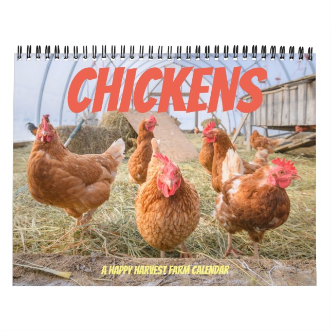 Calendario del pollo - medio (Tapa)