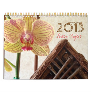Calendario del Proyecto Hermana 2013