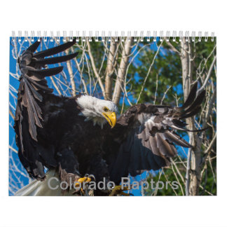 Calendario del rapaz de Colorado