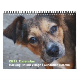 Calendario del rescate 2011 de BHVF