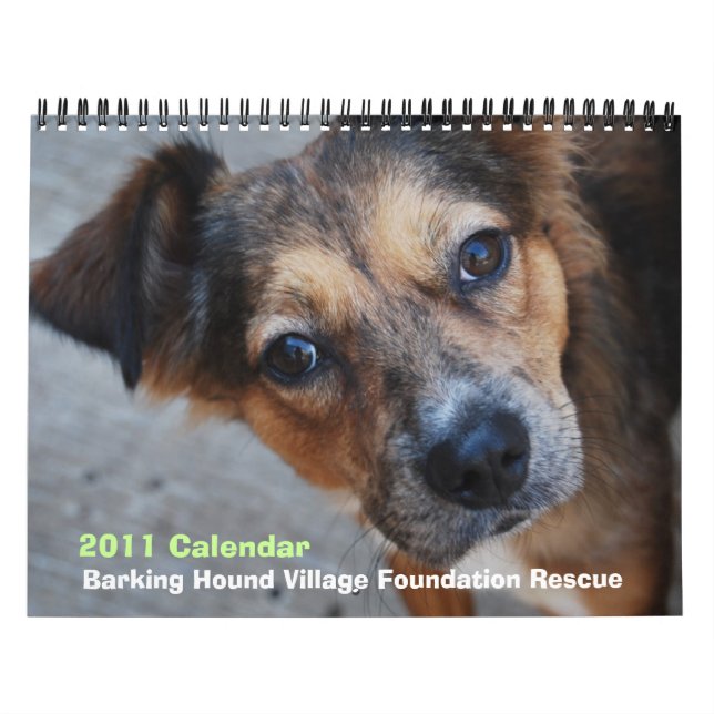 Calendario del rescate 2011 de BHVF (Tapa)