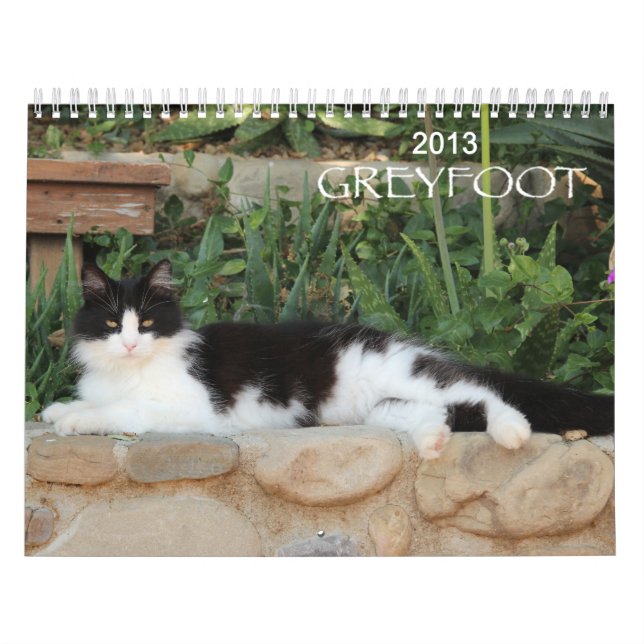 Calendario del rescate 2013 del gato de Greyfoot (Tapa)