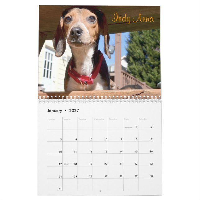 Calendario del rescate 2015 del beagle de Atlanta (Jan 2027)