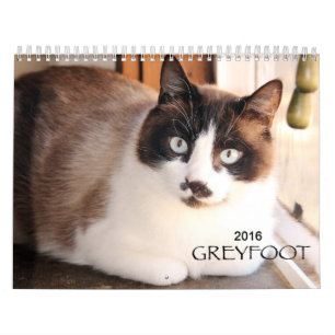 Calendario del rescate 2016 del gato de Greyfoot