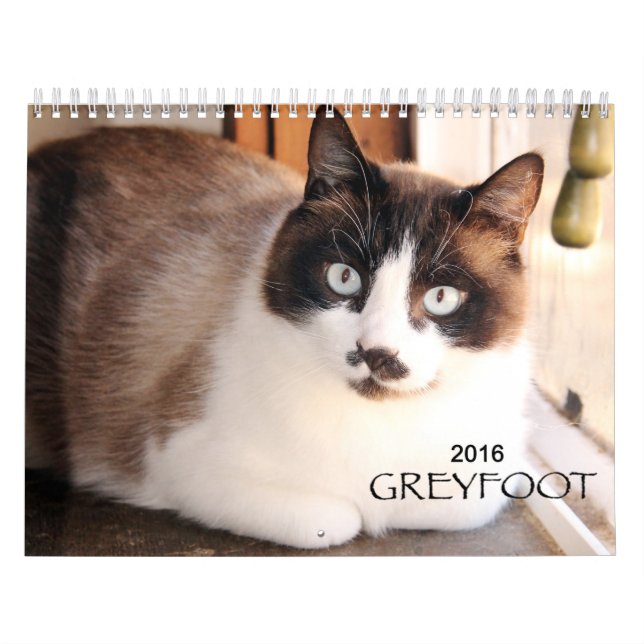 Calendario del rescate 2016 del gato de Greyfoot (Tapa)