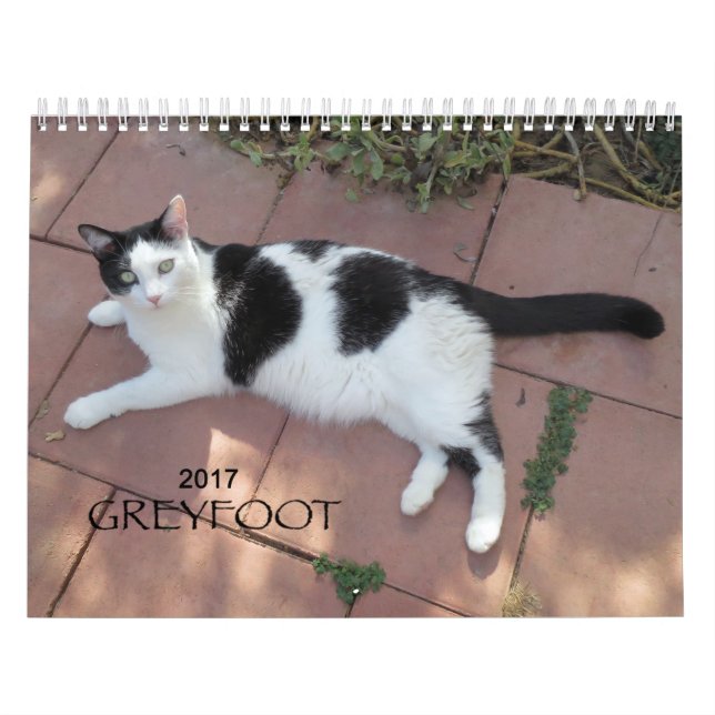 Calendario del rescate 2017 del gato de Greyfoot (Tapa)