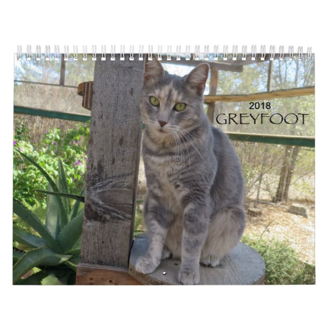 Calendario del rescate 2018 del gato de Greyfoot (Tapa)