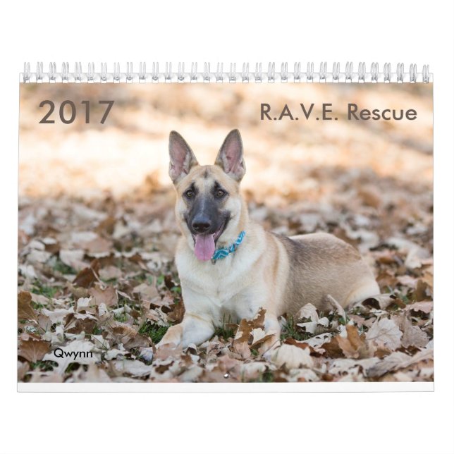 Calendario del rescate de 2017 R.A.V.E. (Tapa)