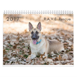 Calendario del rescate de 2017 R.A.V.E.