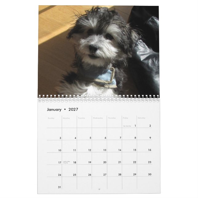 Calendario del rescate de Havanese (Jan 2027)