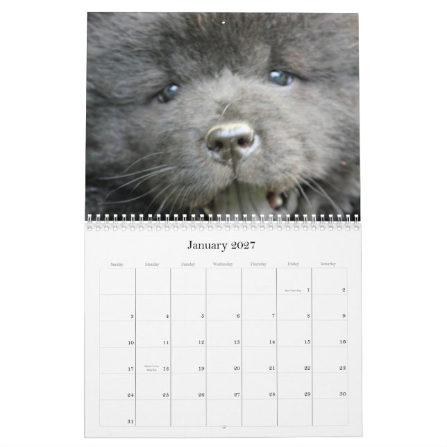 Calendario del rescate del perro chino de perro (Jan 2027)