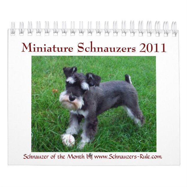 Calendario del Schnauzer miniatura 2016 (Tapa)