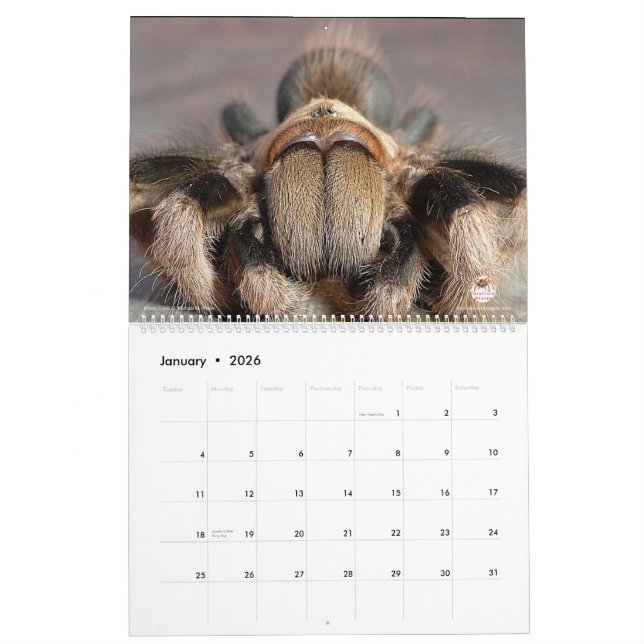 Calendario del Tarantula para 2018 (Jan 2026)