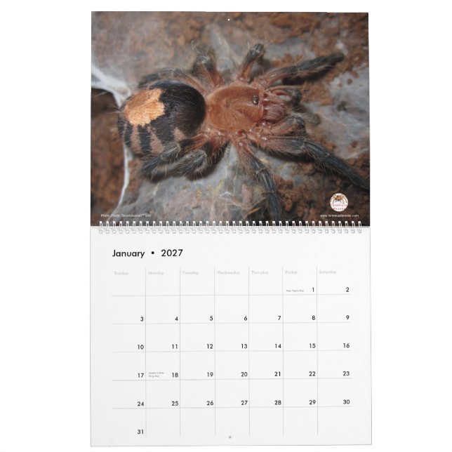 Calendario del Tarantula para 2018 (Jan 2027)