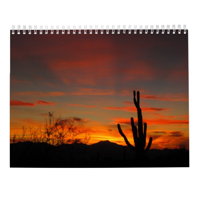 Calendario del tiempo 2017 de Tucson (Reverso)