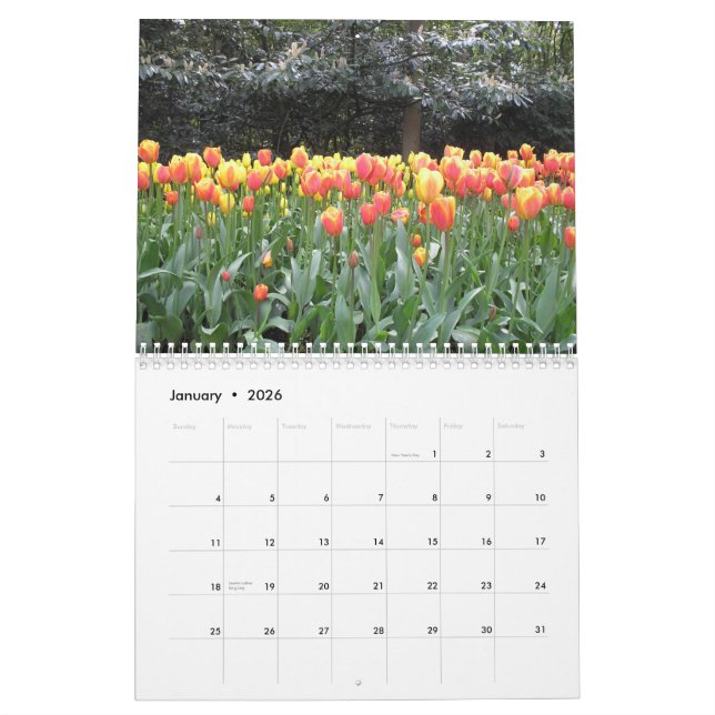 Calendario del tulipán (Jan 2026)