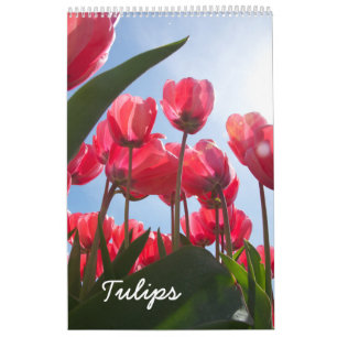 Calendario del tulipán