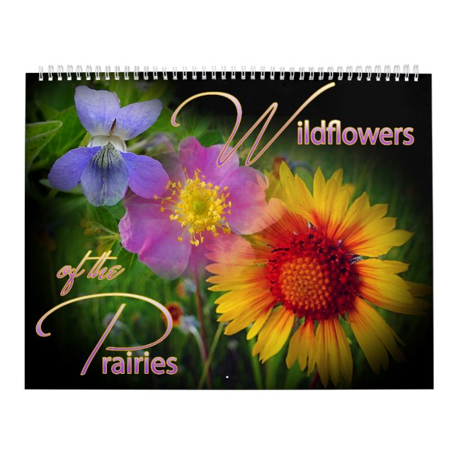 Calendario del Wildflower de la pradera (Tapa)
