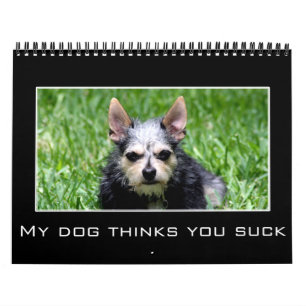 Calendario Desaliento y humor desmotivacional de 2021