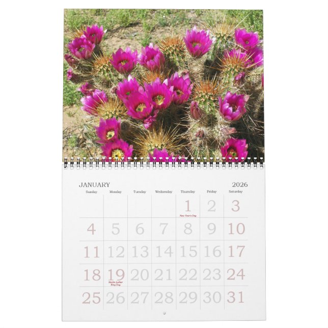 CALENDARIO DESIERTO EN BLOOM (Jan 2026)
