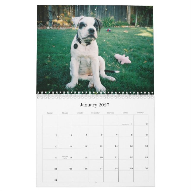Calendario Desplome urbano de Doo (Jan 2027)