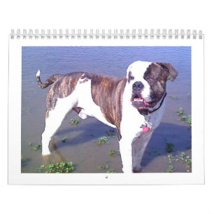 Calendario Desplome urbano de Doo