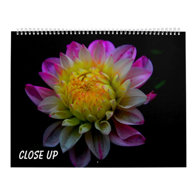 Calendario Detalle (Tapa)