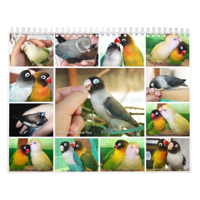 Calendario Diario te amo (Tapa)