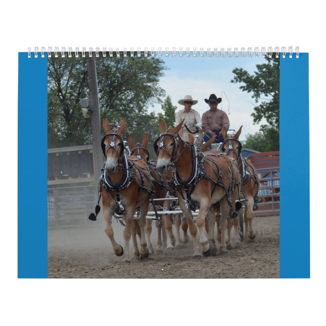 Calendario Días de la mula de Montana (Tapa)