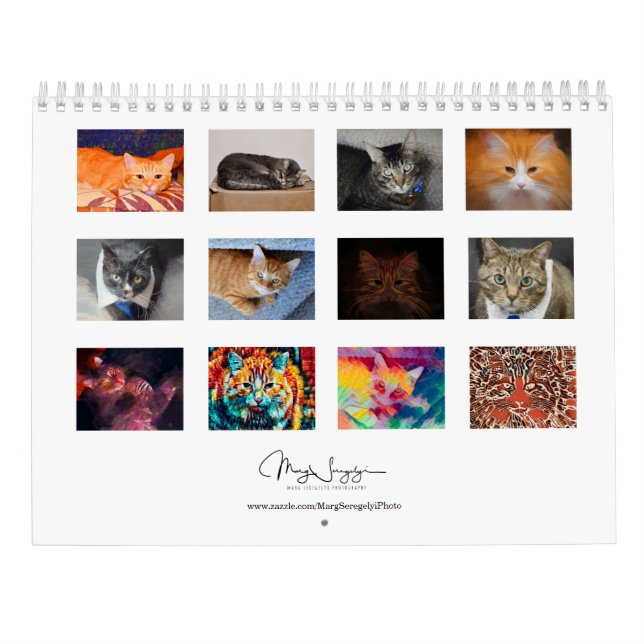 Calendario Diseño artístico de fotos de gatos cúpulos 2023 Me (Reverso)