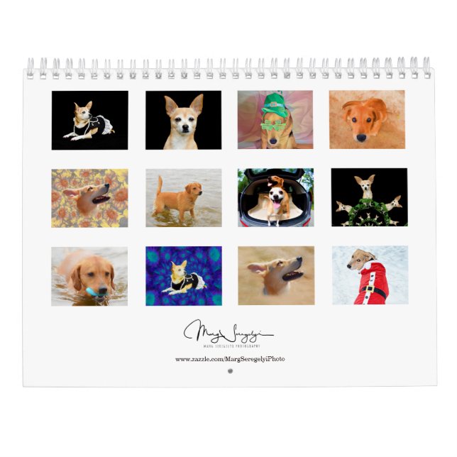 Calendario Diseño de arte fotográfico de perros pequeños 2024 (Reverso)