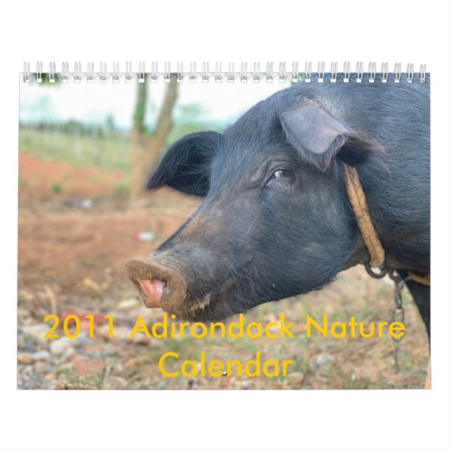 Calendario Diseño del cerdo de la granja (Tapa)