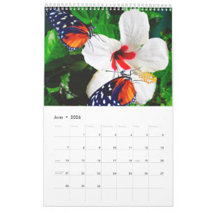 Calendario Distintas fotografías de mariposas con flores